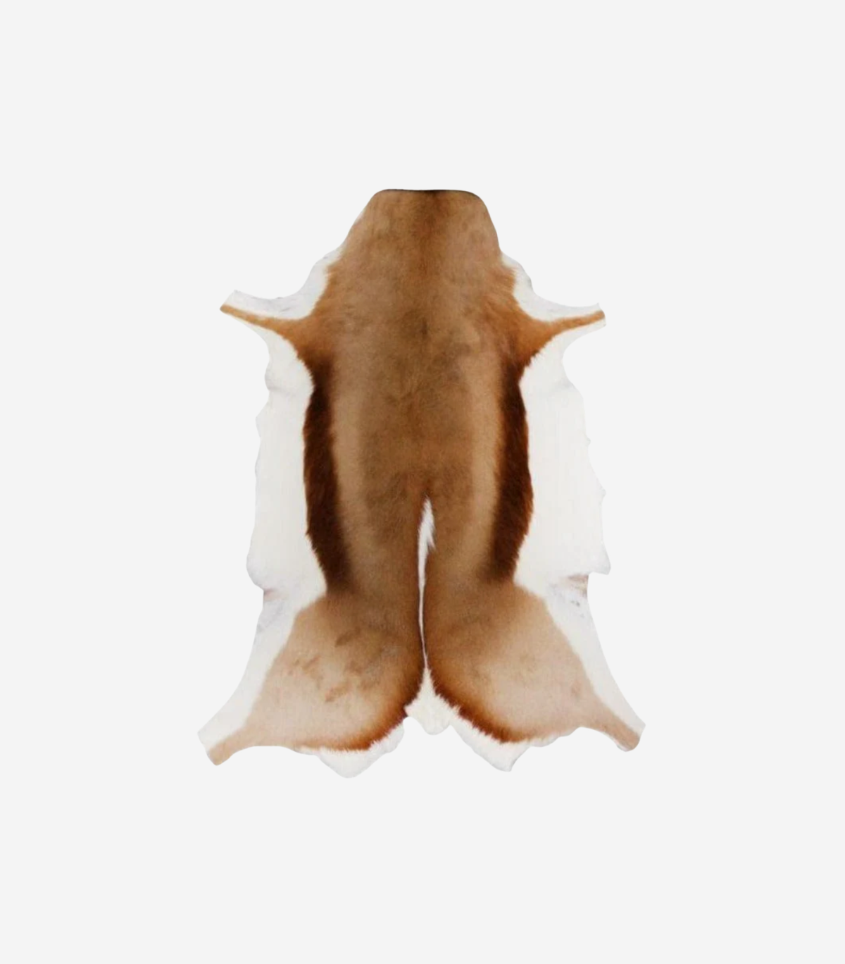 Springbok Rugstring Springbok Hide – Bundu Bush